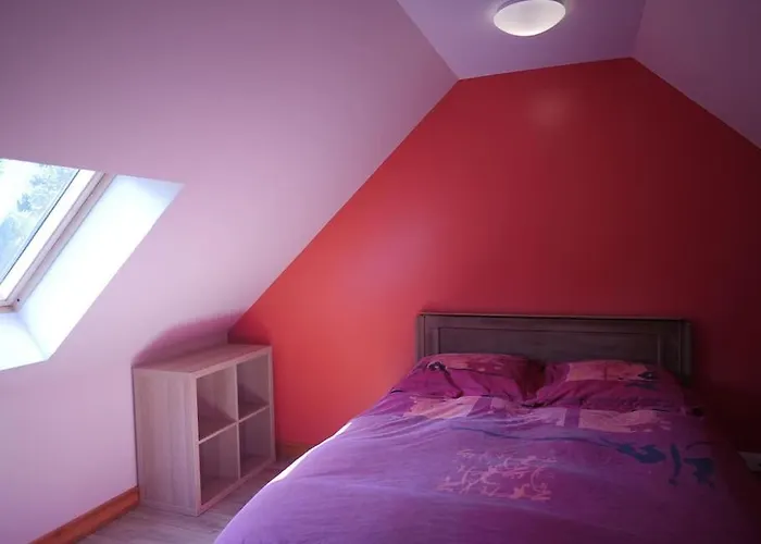 Gite Dans Un Elevage D\'Alpagas